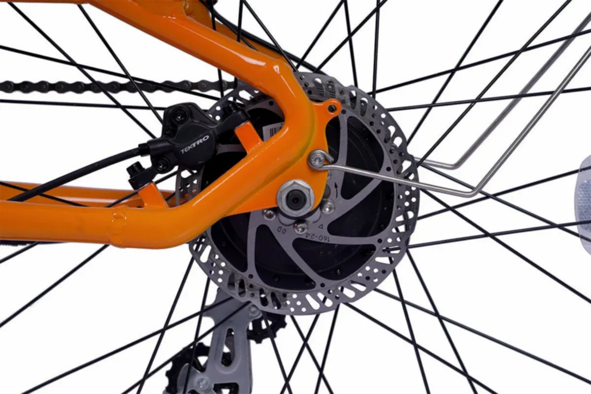 Alba Cargo S - - Alba E-bikes - Elektrikli Bisiklet