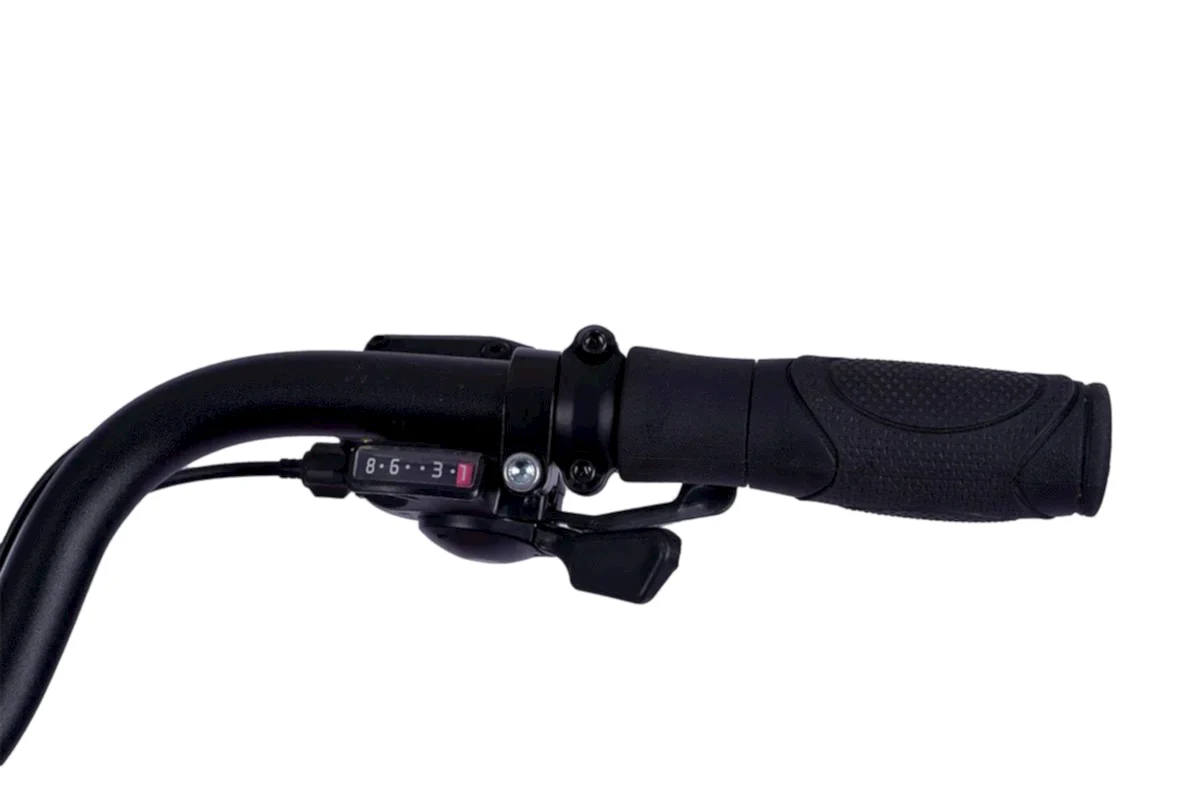 Alba Cargo S - - Alba E-bikes - Elektrikli Bisiklet