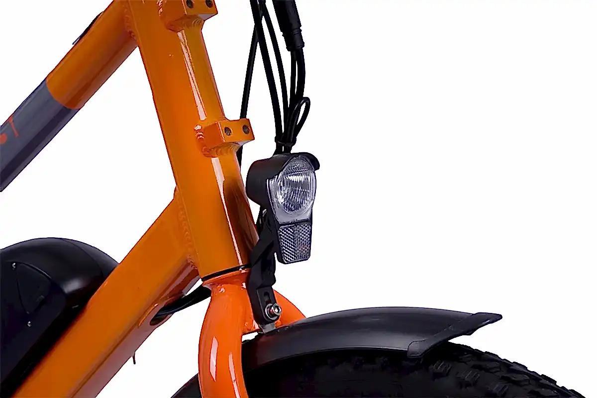 Alba Cargo S - - Alba E-bikes - Elektrikli Bisiklet